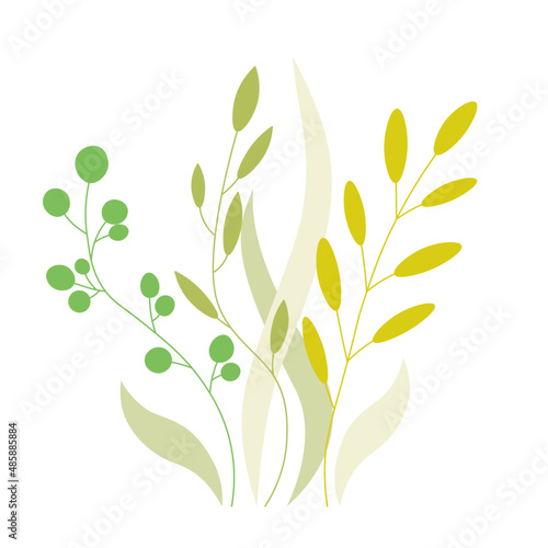 Green leaves and flowers. Floral composition with different kinds of leaves. Vector illustration for postcards, banners, greetings, invitations. 