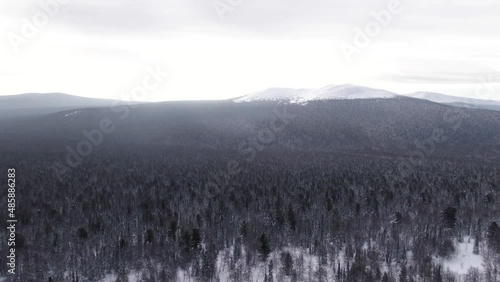 A smooth flight over a strange and mystical forest, where a well-known tragedy occurred nearby, the death of tourists on the Dyatlov Pass, general plan, day. photo