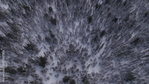 Drone flight over the terrible forest in which the tragedy occurred, Dyatlov Pass.
