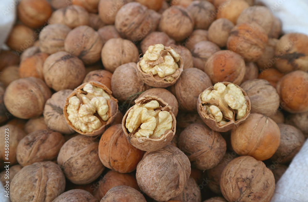 Closeup of Opened Raw Walnut's Kernels on the Pile of Walnuts with Shells
