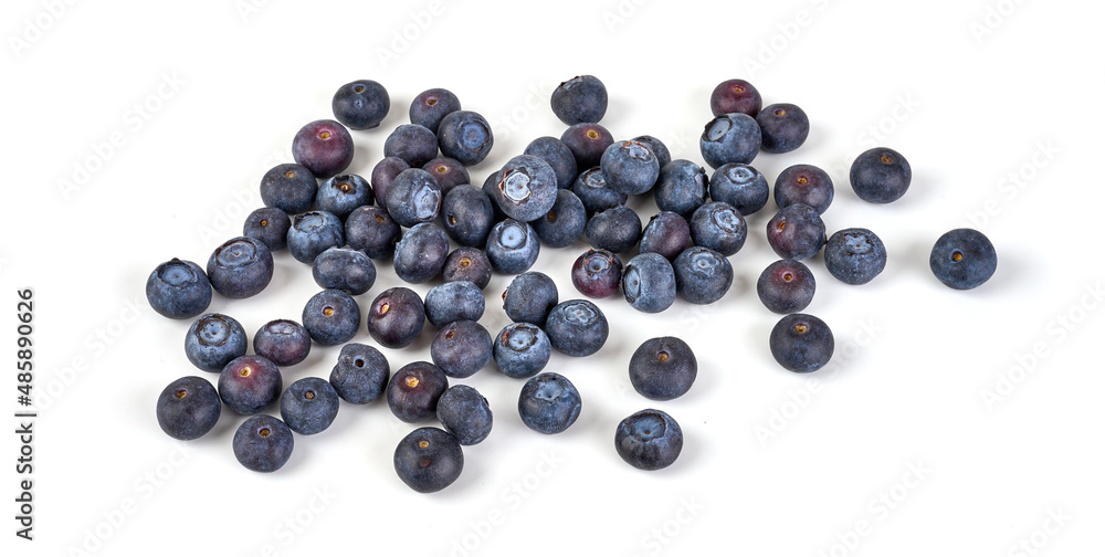 Blueberries, isolated on white background. Blueberries, isolated on white background.