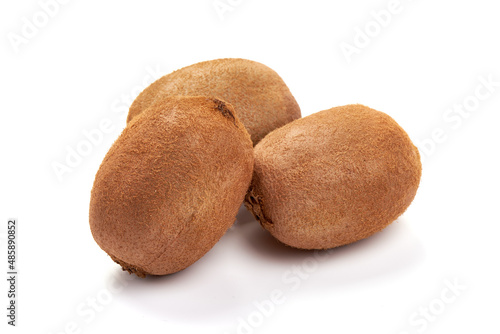 Kiwi fruit  isolated on white background.