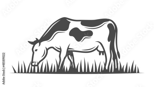 Farm cow isolated on white background. Vector illustration