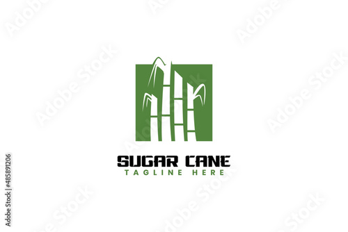 Sugarcane stem logo design vector template