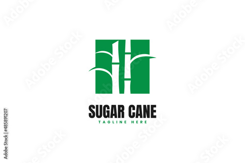 Modern sugarcane stem logo design vector template