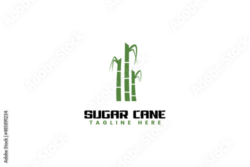 Sugarcane stem logo design vector template