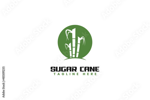 Sugarcane stem logo design vector template