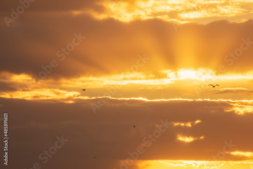 Canvas Print orange sun at sunset with birds
