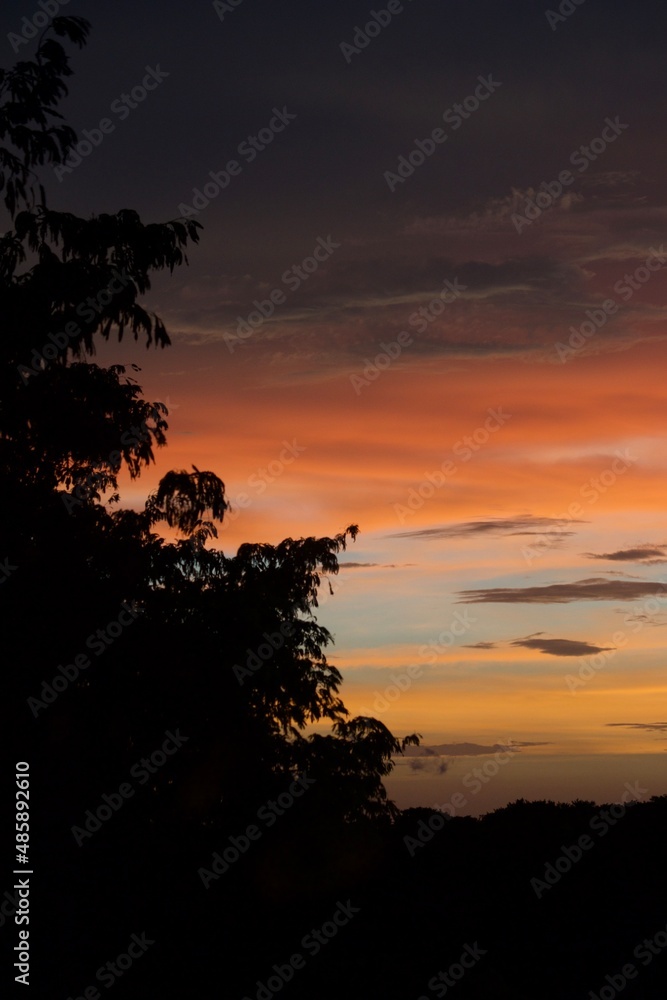 Atardecer en la arbolada 3 Atardecer en la arbolada 3