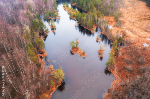 forest lake with small islands in autumn, top view