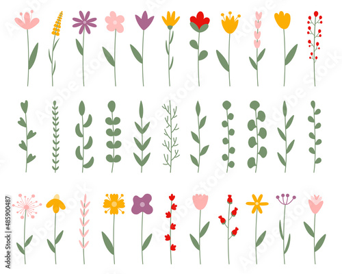 Floral collection with leaves, flower bouquets. Vector flowers isolated on white. Cute elegant simple flat botanical illustration. Spring grenery. Illustration for floristic cards, shops, Easter decor