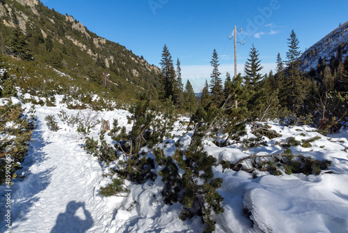 Winter landscape of Rila Mountain near Malyovitsa peak, Bulgaria