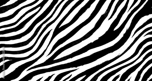 Zebra seamless pattern vector