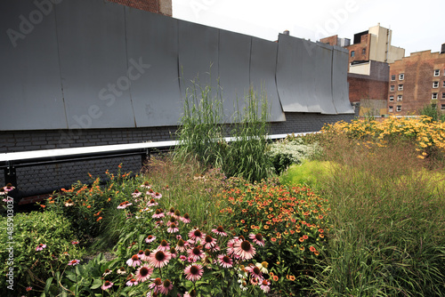 Flower Garden in New York City