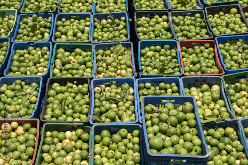 View of freshly picked Guava fruit in plastic boxes in Dhaka, Bangladesh. photo