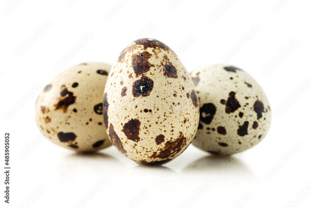 Quail eggs isolated on white background Quail eggs isolated on white background