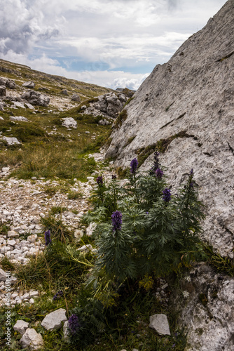 Mountain trail Tre Cime di Lavaredo in Dolomites in Italy