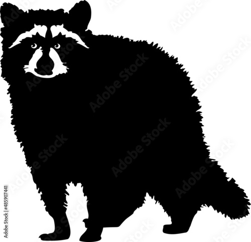 raccoon EPS, raccoon Silhouette, raccoon Vector, raccoon Cut File, raccoon Vector