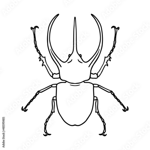 Isolated contour drawing of a beetle on a white background. Doodle style. A design element.