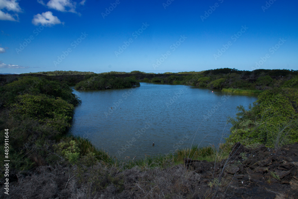 The magical lake of Punta Moreno in Isabela Island, Galapagos.