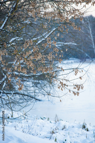 Wallpaper Mural Nature Torontodigital.ca