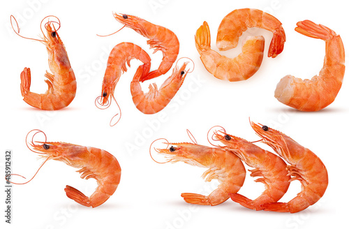 Set cooked tiger shrimps