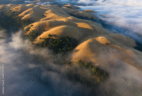 Morning fog in golden rolling hills, Central California, USA