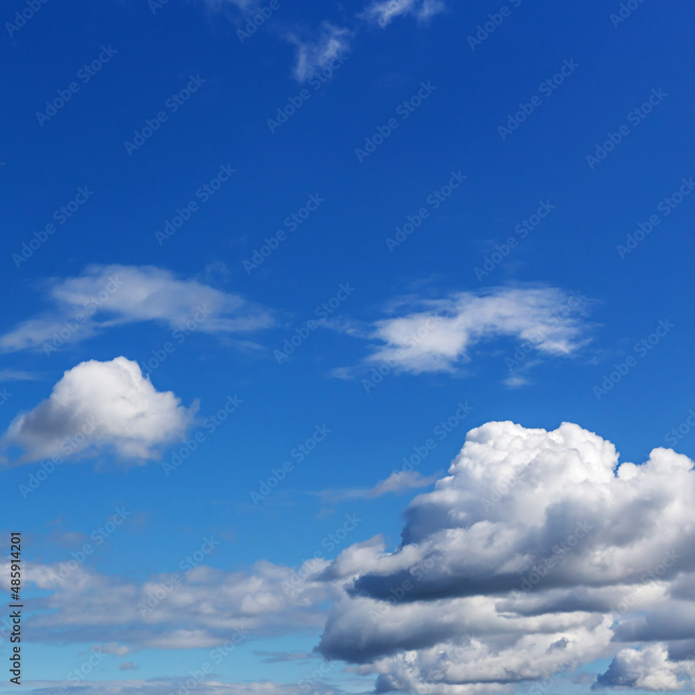 blue sky with white cumulus clouds of various sizes as a natural background blue sky with white cumulus clouds of various sizes as a natural background