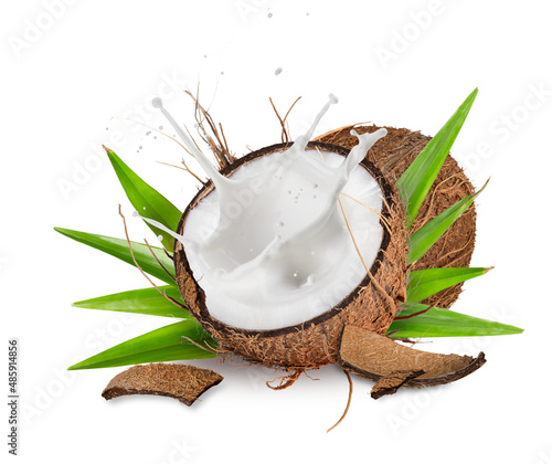 Coconut pieces isolated on ...