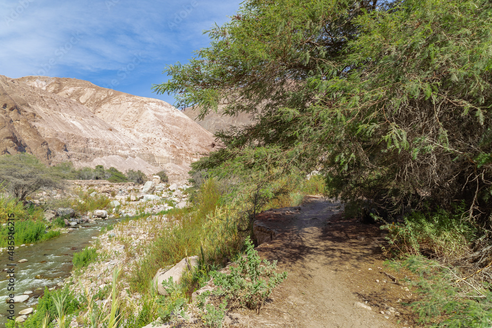Valley scenery containing mountains, river and a path under a tree Valley scenery containing mountains, river and a path under a tree
