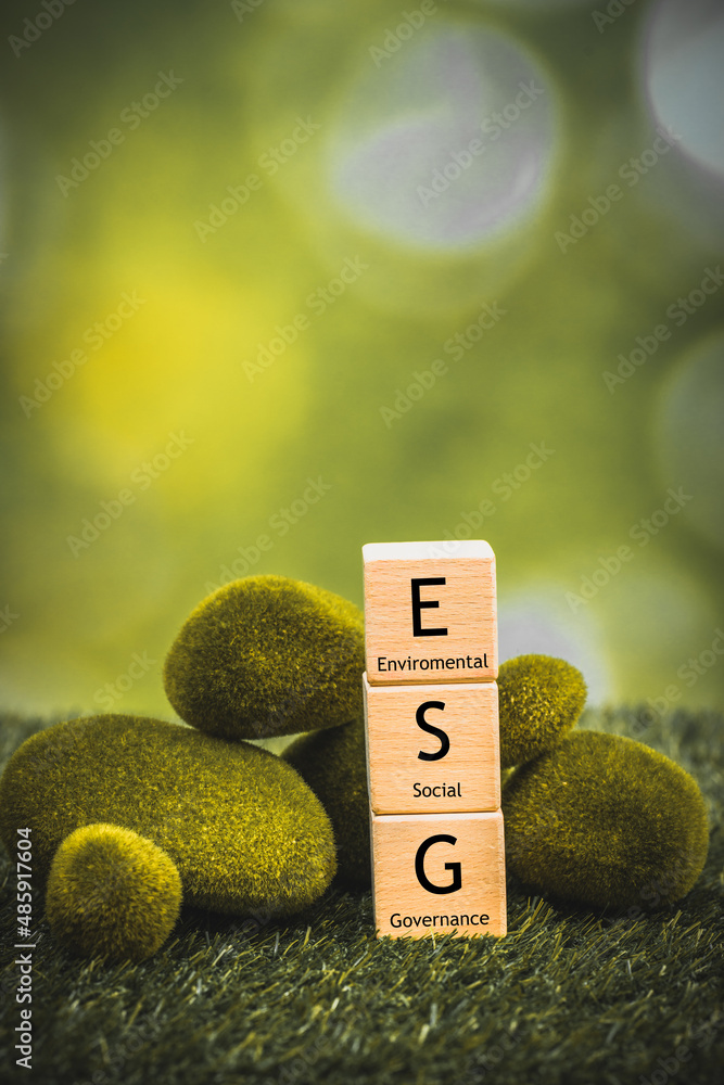 ESG, The concept of environmental, social and corporate governance, The idea of sustainable development of the company, wooden blocks with text among mossy stones and nature