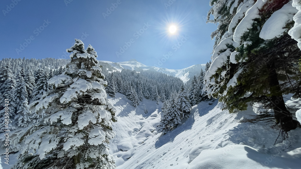 relaxing winter landscapes in the mountains.Fertile winter days in Central Taurus.