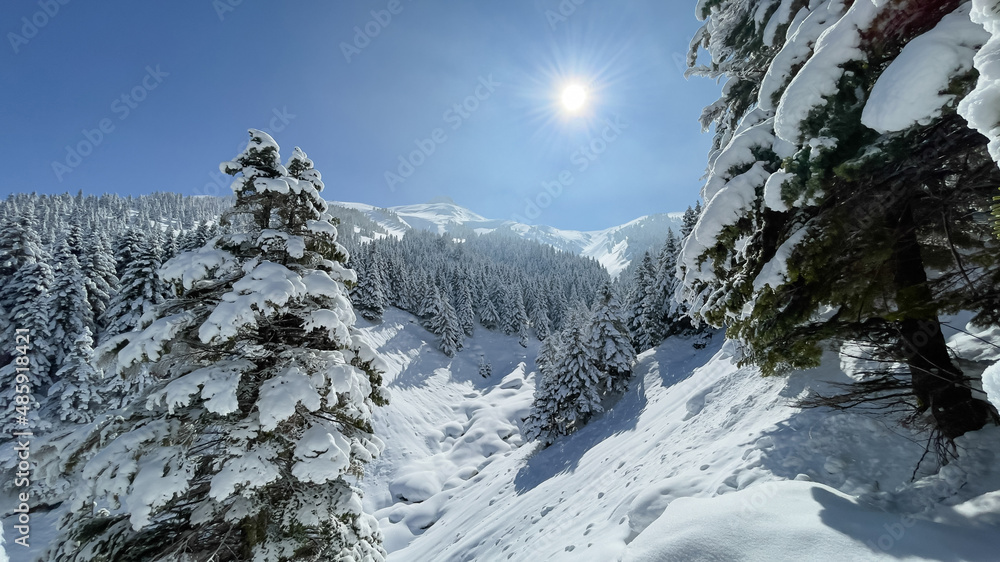 Fototapeta premium relaxing winter landscapes in the mountains.Fertile winter days in Central Taurus.