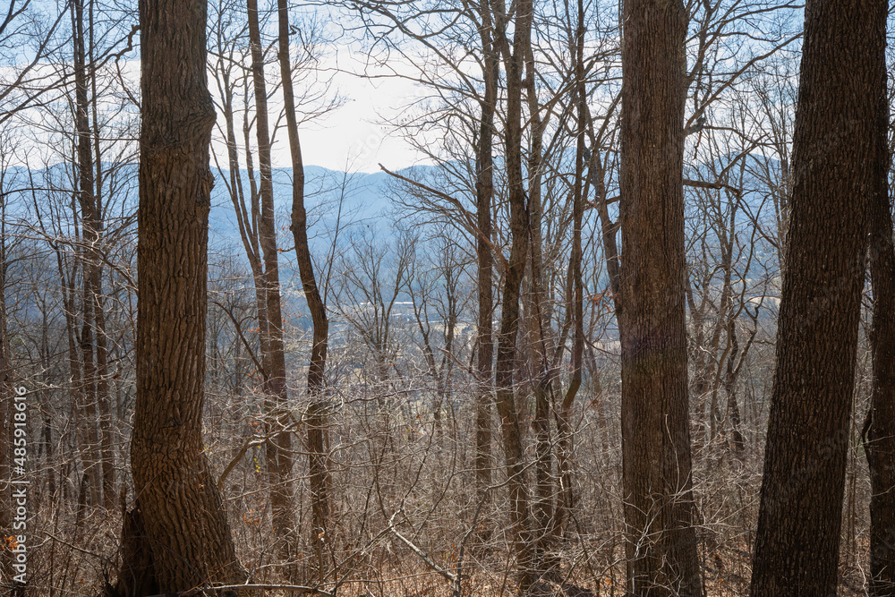 landscape landscape