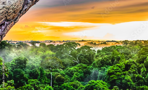 Sunset over the trees in the brazilian rainforest of Amazonas photo