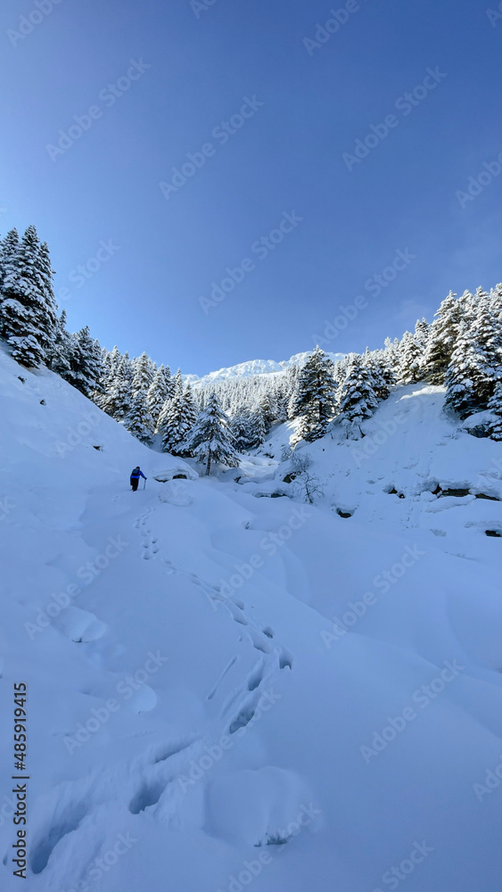 winter walk in magnificent forest in mountains