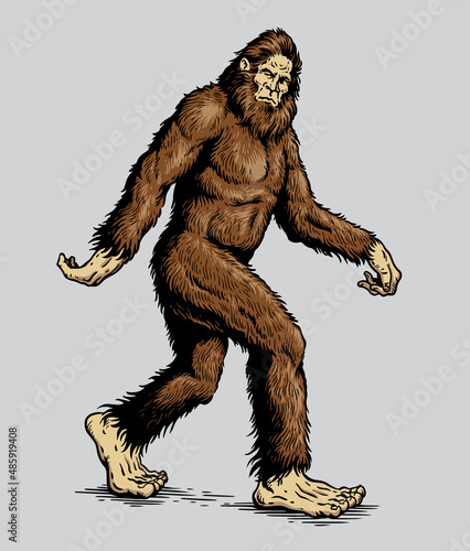 Sasquatch, Yeti, Bigfoot walking vector illustration in color