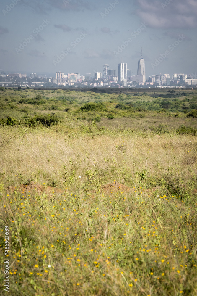 Beautiful view of the skyscrapers of Nairobi, Kenya, rising in the distance behind the savannah grasslands of the Nairobi National Park