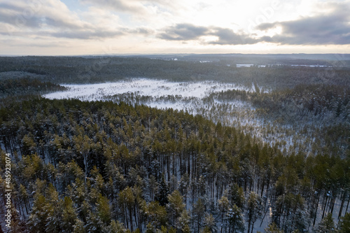 aerial view forest tundra taiga road in the forest in winter on a sunny frosty day in siberia. High quality photo