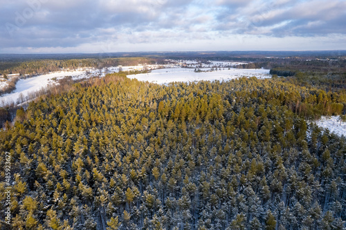 aerial view forest tundra taiga forest in winter on a sunny frosty day in siberia pines fir trees. High quality photo