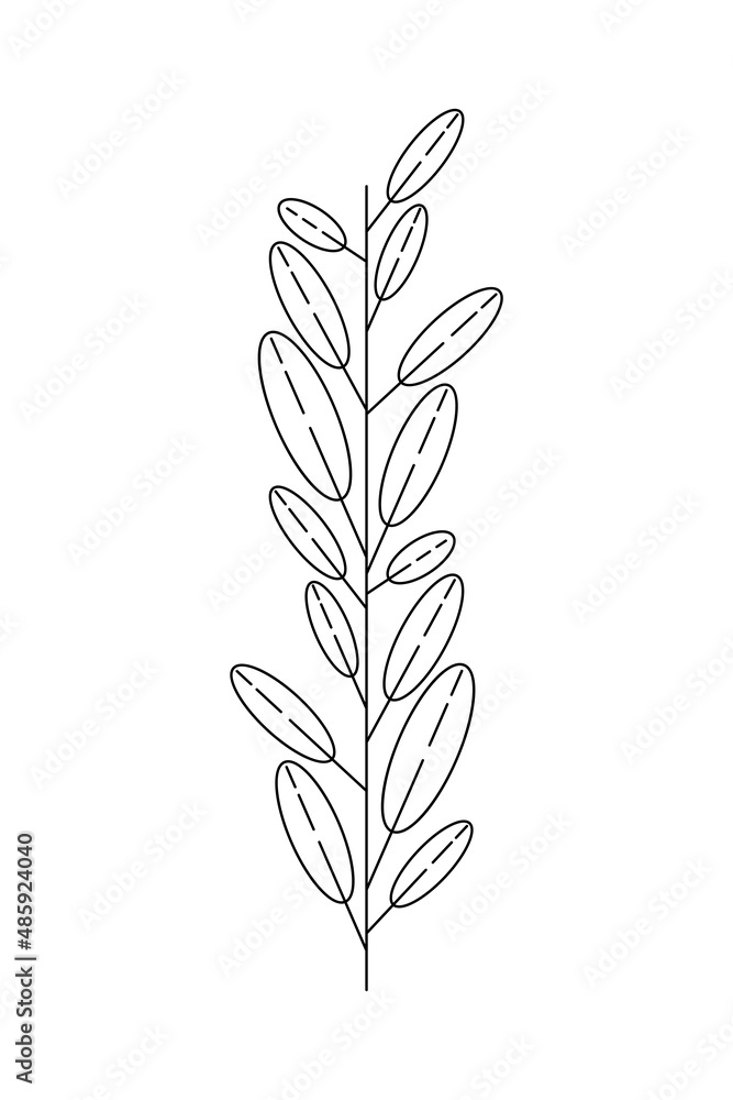 Fototapeta premium branch with leafs