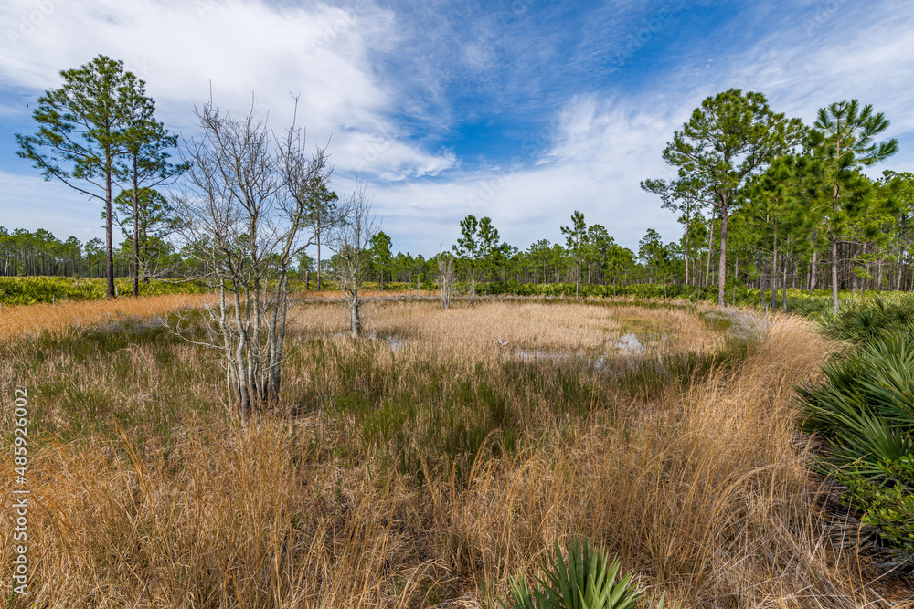 Obraz premium creative