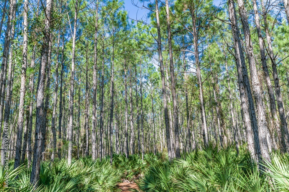 Obraz premium creative