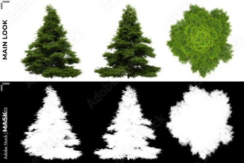 3D Rendering of  Front  Left and Top views of Tree  Sabina Chinensis  with alpha mask to cutout and PNG editing. Forest and Nature Compositing.