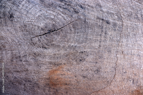 Cut Old Wood Texture