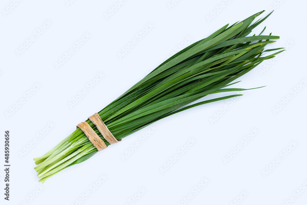 Fresh Chinese Chive leaves on white background. Fresh Chinese Chive leaves on white background.