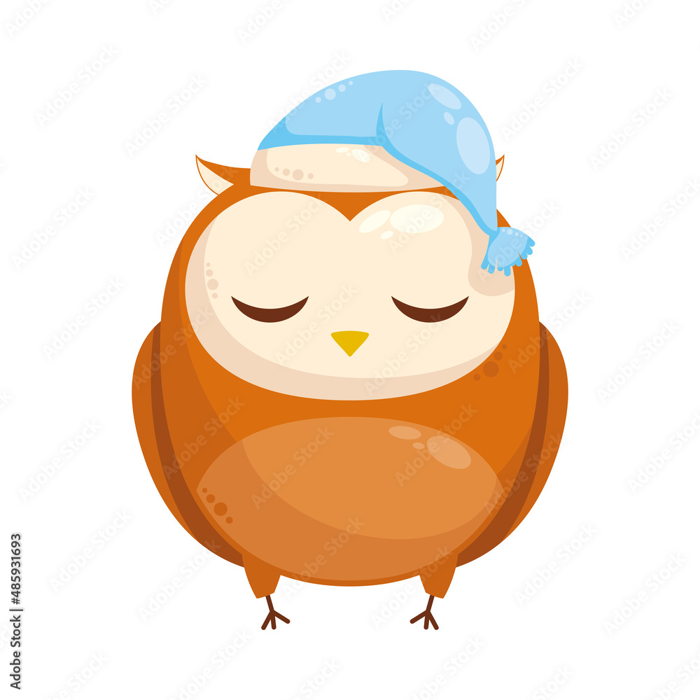 owl sleeping with sleepcap