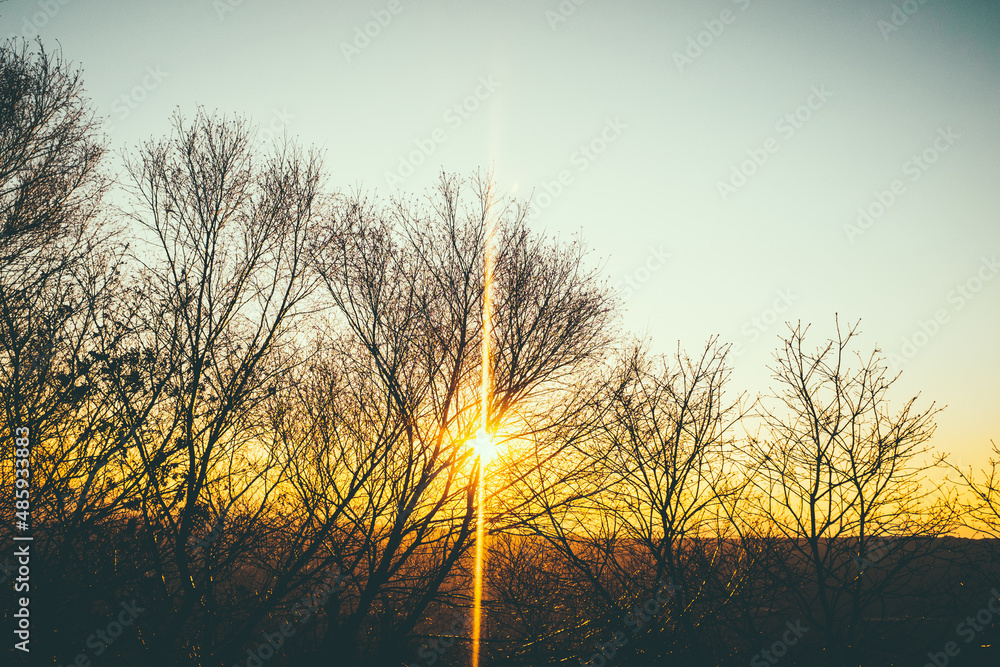 Obraz premium sunset in the field