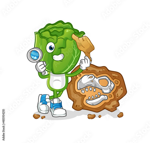 cabbage head cartoon archaeologists with fossils mascot. cartoon vector