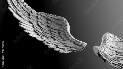 White wings under black-white lighting background. Concept image of free activity, decision without regret and strategic action. 3D CG. 3D illustration.